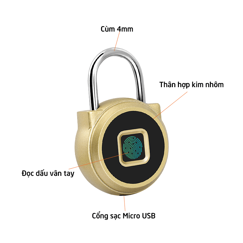 Ổ khóa vân tay mini BT20
